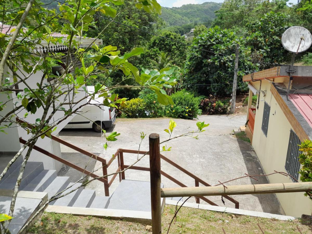 La Poulette Amazonienne Villa Riviere-Pilote Luaran gambar