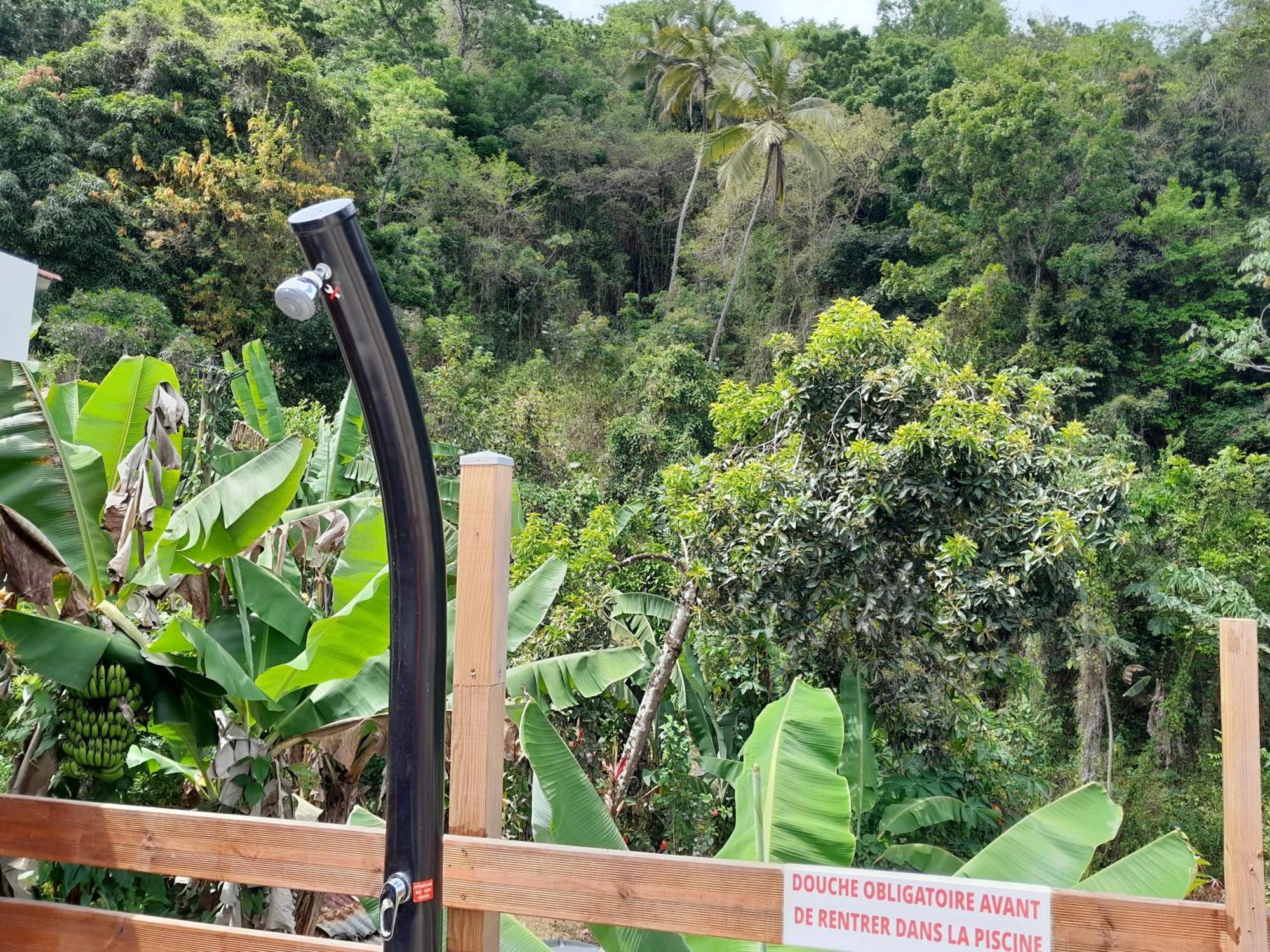 La Poulette Amazonienne Villa Riviere-Pilote Luaran gambar